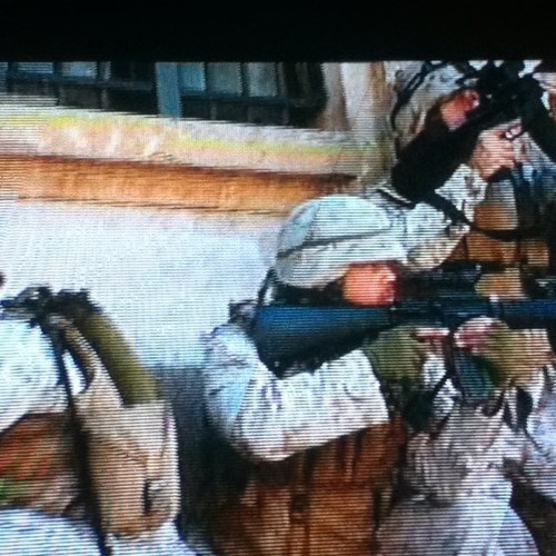 paulie4's profile picture. Paul