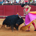 TOROS (@torosmadrid) Twitter profile photo