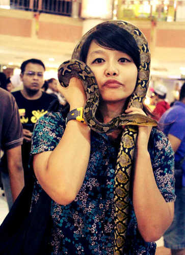 Chocolate | pramugari pesawat telepon | save dolpins!!!
