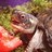 Ernie the Turtleさんのプロフィール画像