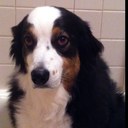 steve addis - @saddis9 - Twitter