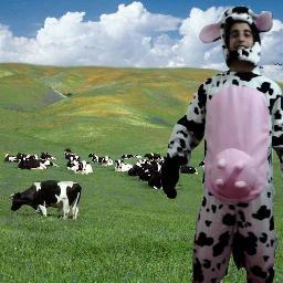 LaVacaDelTiro's profile picture. 