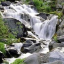 الولهان - @KaliBird3 - Twitter