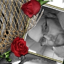 Daniel Olofsson - @larsson_79 - Twitter