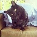 sydney schaefer - @SchaeferSydney - Twitter