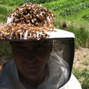 Matt Flint - @BartonCreekBees - Twitter