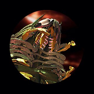 Territorial insectoid creatures from the inner world of a hot sun They use complex pheromone signals to manipulate other species.