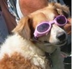 SusanOKauai's profile picture. 