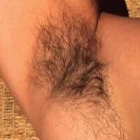 Mr_Pit_Stop (@mr_pit_stop) 's Twitter Profile