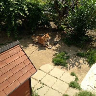 宮