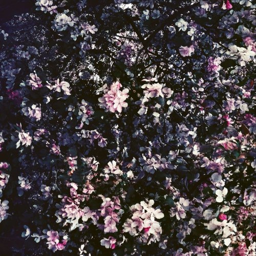 denverrodrigues's profile picture. Photographer