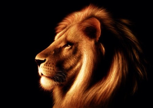 Tweets about all #LEOS in a different way.