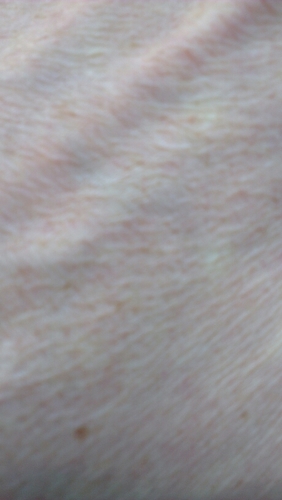 leonrad2's profile picture. 