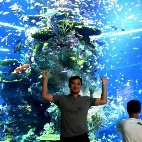 Phillip_kho83's profile picture. Entrepreneur, CEO, and Managing director at MG Electronic Store. line : phillipkho83