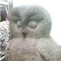 ブクロ富豪 (@bukurofugou) Twitter profile photo