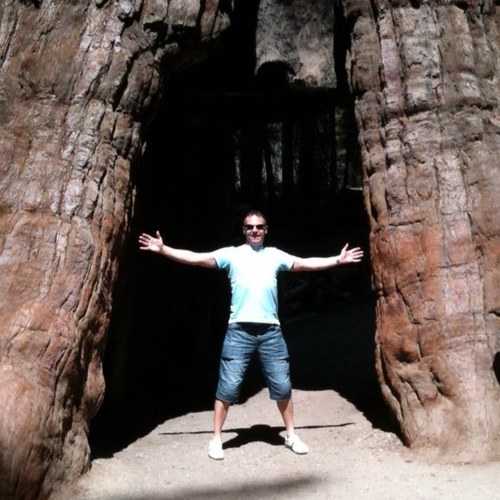 stevec00k's profile picture. 