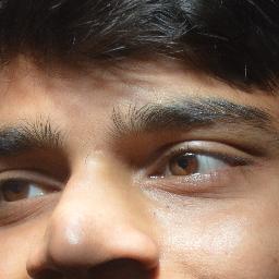 Engineer - Ex- Cricket Fan