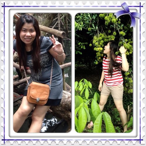 CChansopheak's profile picture. 