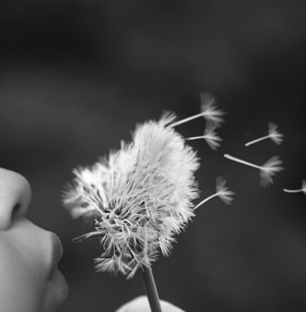 amalia_meseguer's profile picture. 