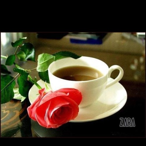 hmod0542's profile picture. 