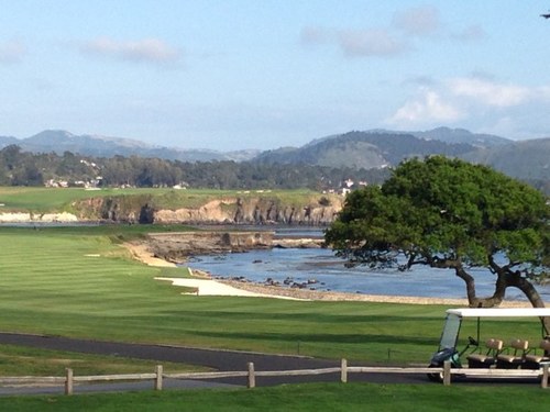 somervillewill's profile picture. 