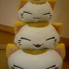 aki_baqo's profile picture. #広島東洋カープ / #サンフレッチェ広島 / #順天堂大学/ #和田竜二 / Oklahoma City Thunder / Pittsburgh Penguins / 高校野球 / サイクルロードレース / F1 / スポーツ観戦 / ニコ動 / 踊ってみた / #しゃだばだSTEP / 無言フォローすみません。