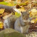 cory warner - @coryw029 - Twitter