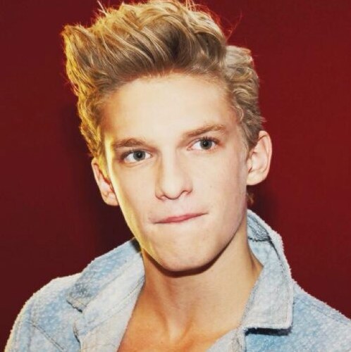 Cody Simpson watched me cry, it was awesome.
✿paradise tour feb19/13 - best day of my life. the walking dead♥
