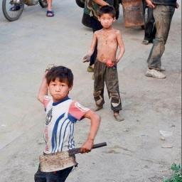 zxcccxzvbbb's profile picture. 追求自由。民主、公平、正义，做一个有责任感的公民。