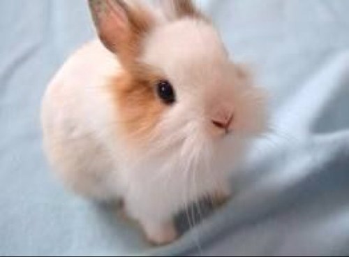 まるるんさんのプロフィール画像