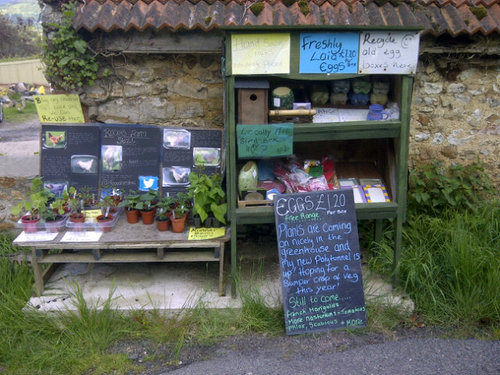 Little stall on doatshayne lane, musbury, east devon. Selling plants,veg,fruit,crafts,EGGS. Come and visit us :)