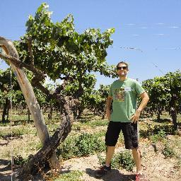 Enólogo/Winemaker