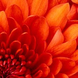 Bloggerin_'s profile picture. 