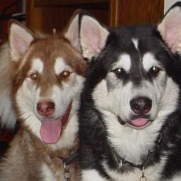 sfranklin7's profile picture. 