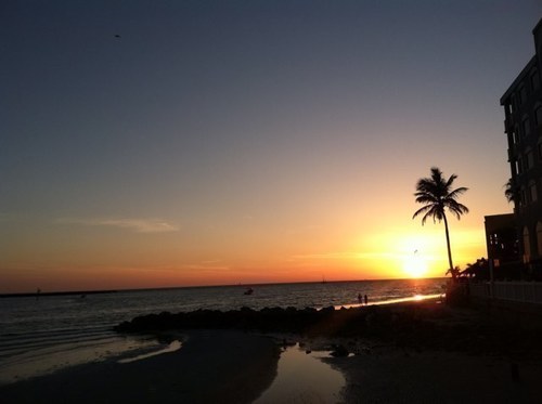 DLyons82's profile picture. To da beach mon