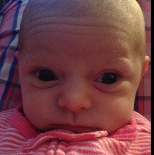 brandonschwar12's profile picture. 