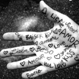Amor apenas amor e mais nada o fundamento de uma vida a felicidade de uma pessoa apenas vem do amor