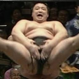 　　　　　　　　　　　　　 　 ╰⋃╯　 　　　　　　　　　　　　　　　しばくでごわす！力士をひたすらしばき倒すbotでごわす　　　 　
ごっつぁんです