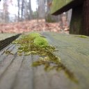 Eric McPhail - @EmmcphEric - Twitter