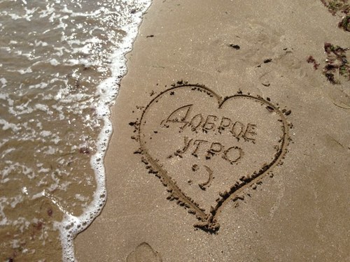 a_dadasheva's profile picture. 