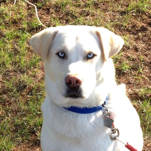 DKrumrey's profile picture. 