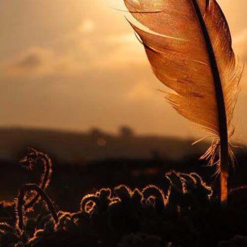 sundarbab's profile picture. 