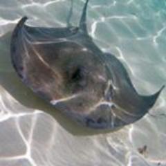 DasyWibe's profile picture. Just creatin' a wibe!