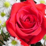 purre202's profile picture. ‏‏‏‏يا معامل الناس بغرور طبعها الدنيا تدور
فعامل الناس كماتحب أن يعاملوك