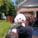 Bill Friedman - @BillFriedman3 - Twitter