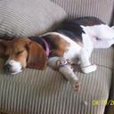 Jordan VanWormer - @jordantoot - Twitter