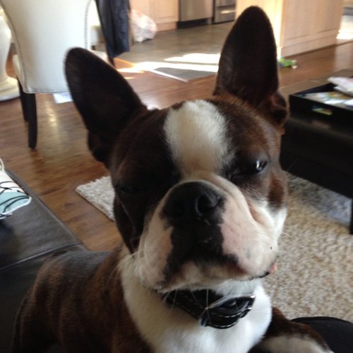 Lpagnani's profile picture. 