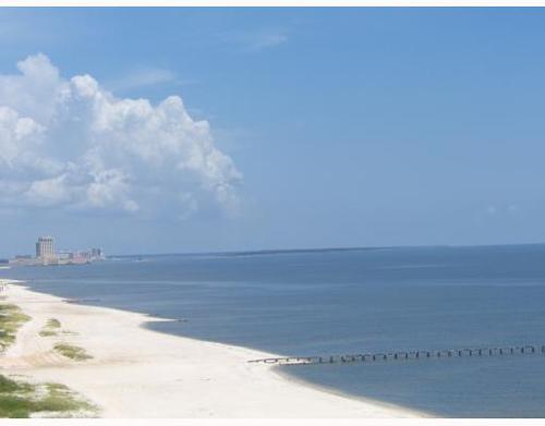 jeannedeal's profile picture. I have been in real estate for over 10yrs and am part of the THE DEAL TEAM at Keller Williams Realty, MS GULF COAST