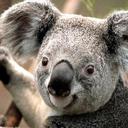 Lydia Welsh - @lydanne - Twitter