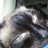 Anina4691's profile image